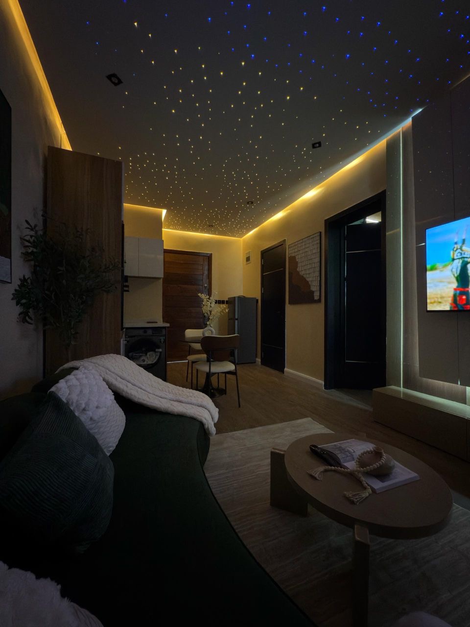 Cinematic 1bedroom apartment