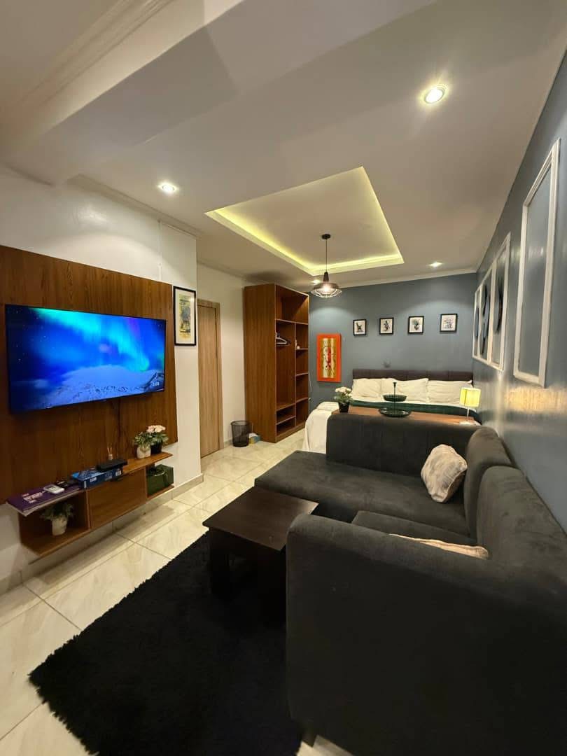 Luxurious one studio apartment