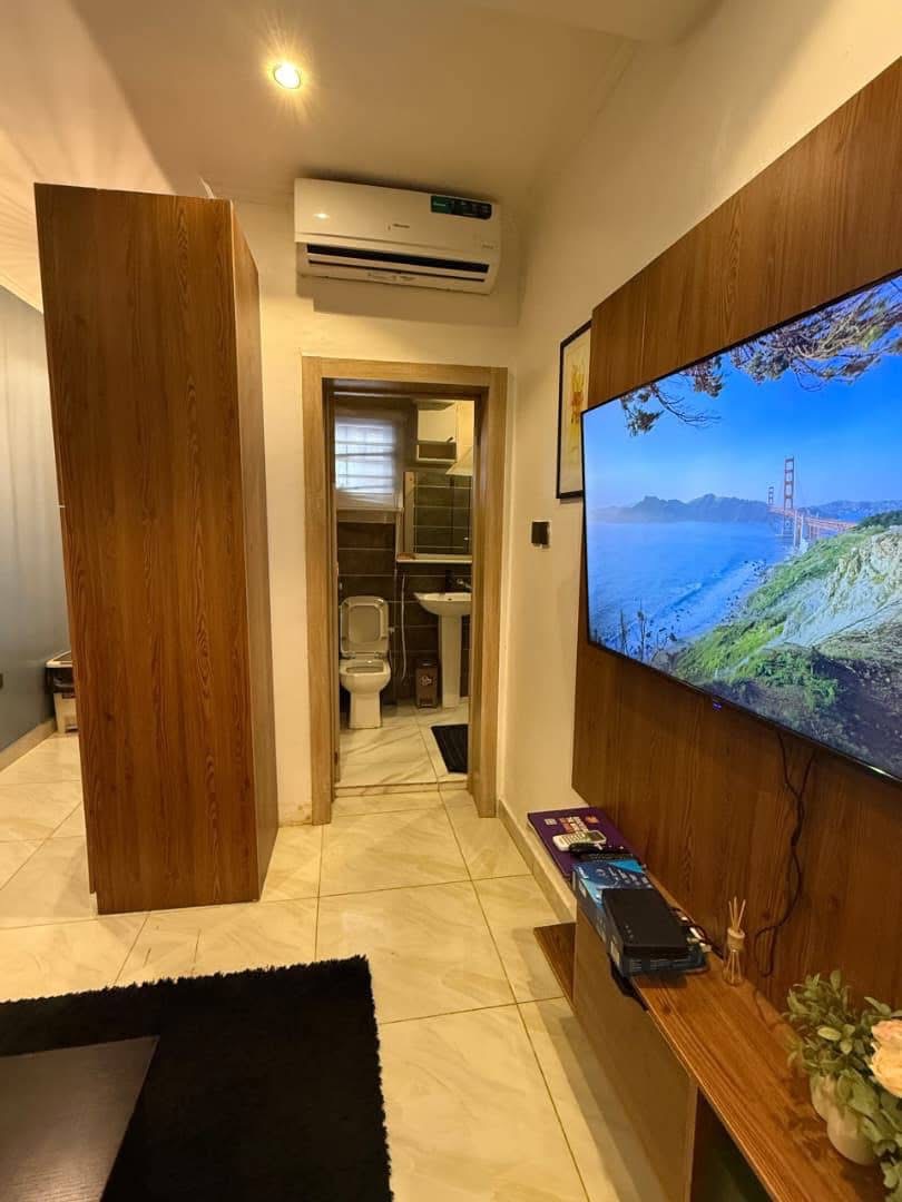 Luxurious one studio apartment