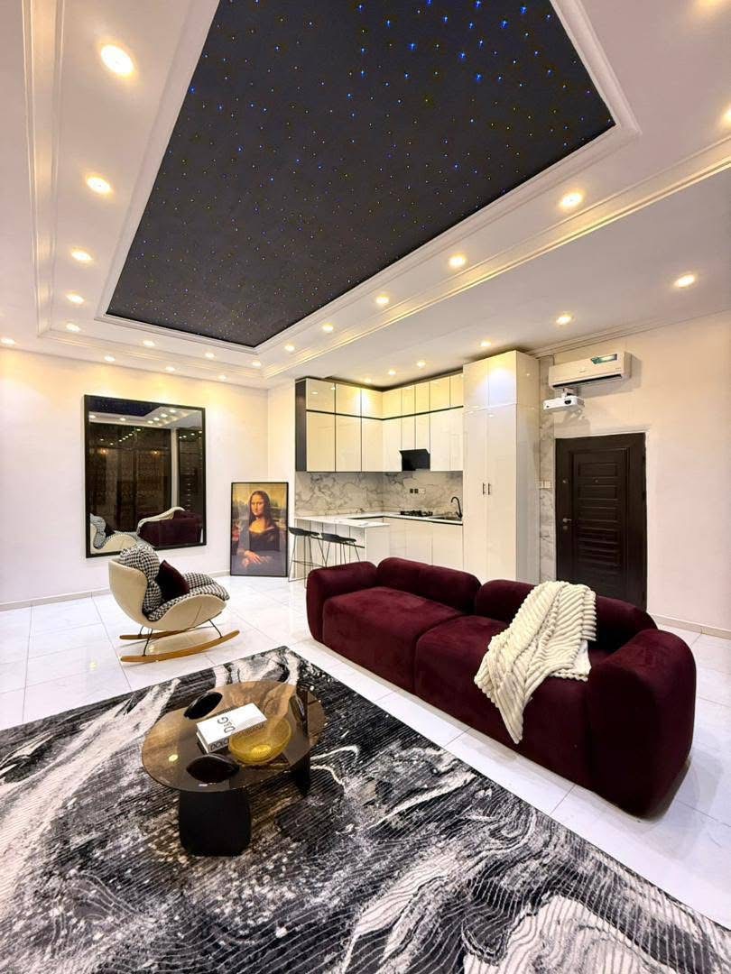 Deluxe cinematic apartment